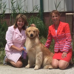 Meet your Posher, Terryl